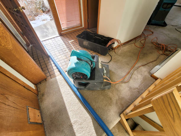 Best Water damage restoration services  in Carteret, NJ