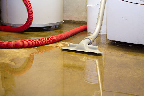 Best Sewage cleanup and water damage restoration  in Carteret, NJ