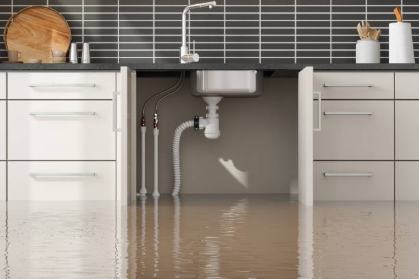 Best Flood restoration services  in Carteret, NJ