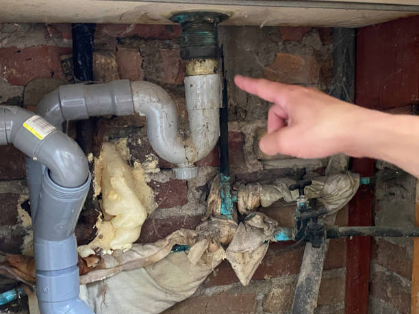 Best 24/7 water damage repair  in Carteret, NJ